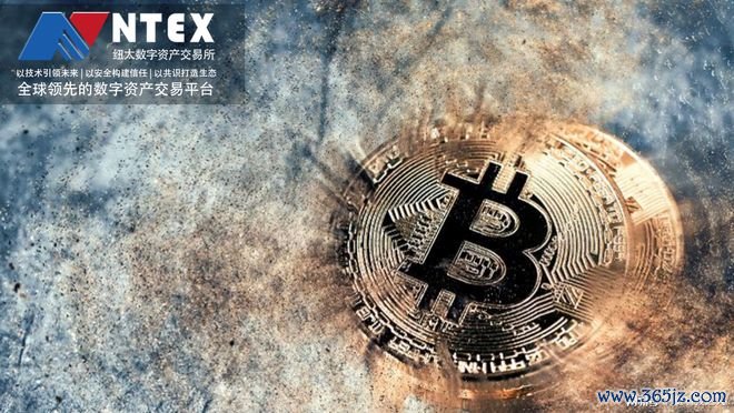 哪些属于冷存储钱包_数字资产冷钱包哪个好_数字资产的安全存储与管理：从热钱包到冷钱包的选择指南