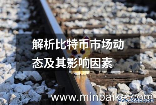 解析比特币市场动态及其影响因素